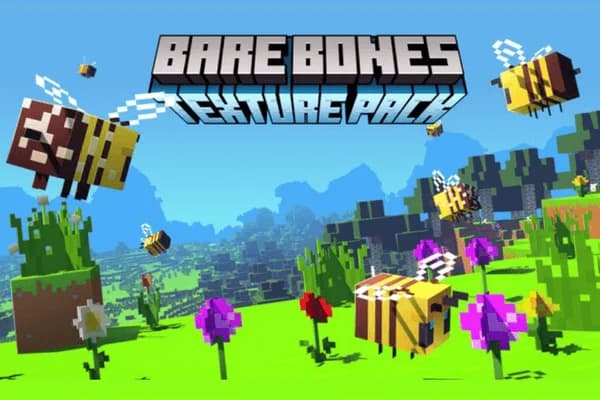 Bare Bones