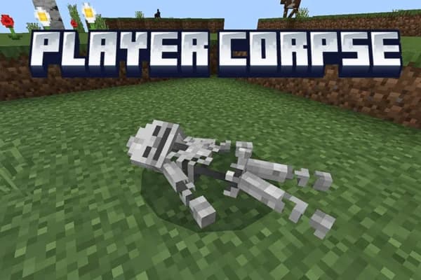 Player Corpse